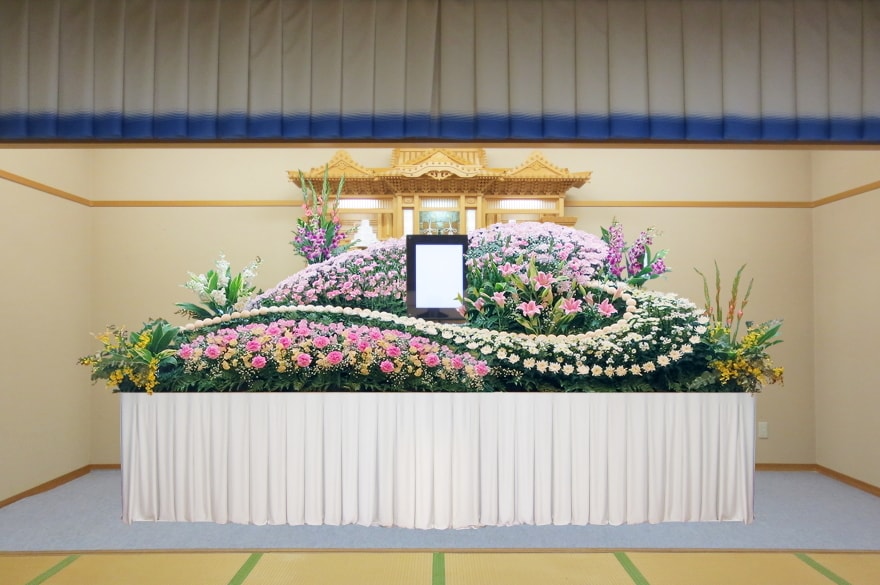 Dセット
