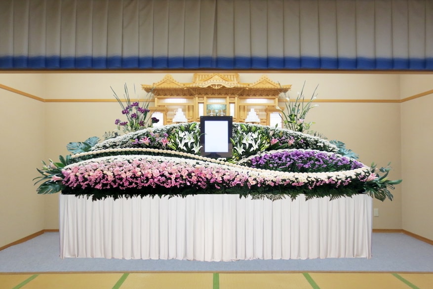 Dセット
